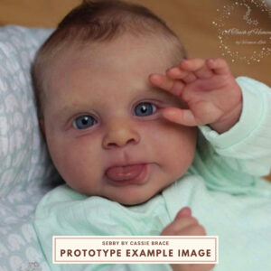 Sebby by Cassie Brace reborn baby